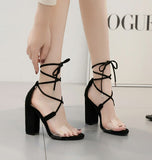LTARTA 2019 Women Sexy Shoes